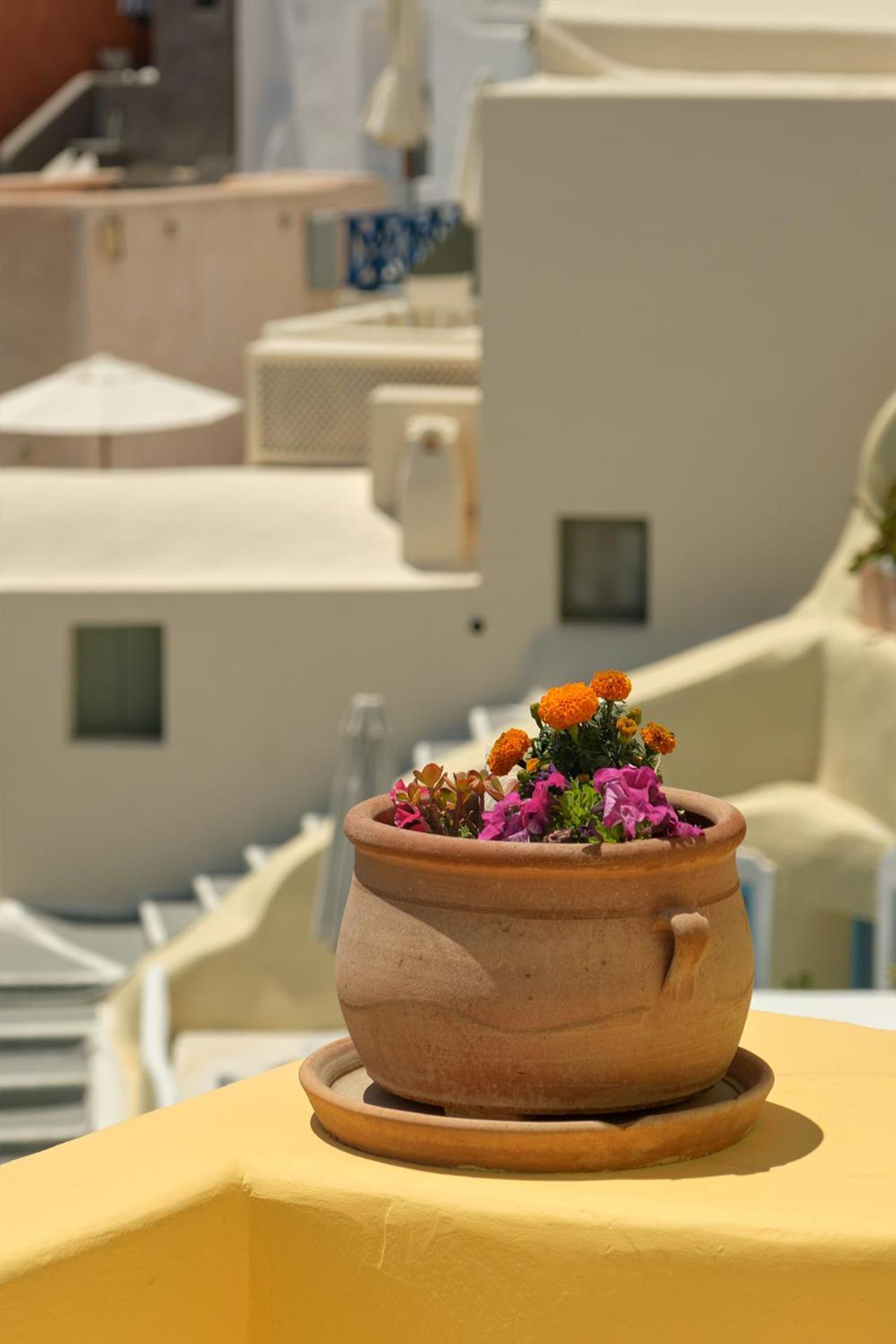 Ilivatos - Elegant Villa On The Caldera'S Edge أويا المظهر الخارجي الصورة